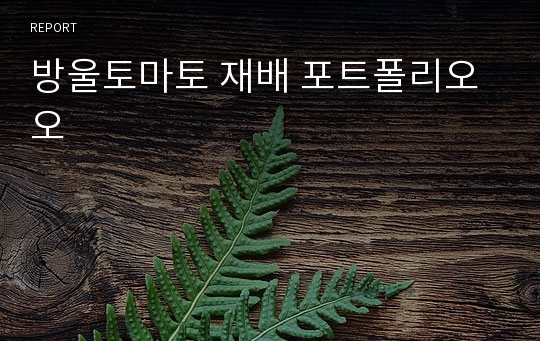 방울토마토 재배 포트폴리오오