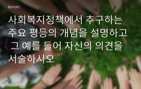 사회복지정책에서 추구하는 주요 평등의 개념을 설명하고 그 예를 들어 자신의 의견을 서술하시오