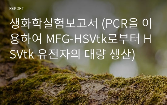 생화학실험보고서 (PCR을 이용하여 MFG-HSVtk로부터 HSVtk 유전자의 대량 생산)