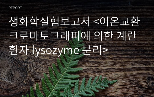 생화학실험보고서 &lt;이온교환 크로마토그래피에 의한 계란흰자 lysozyme 분리&gt;