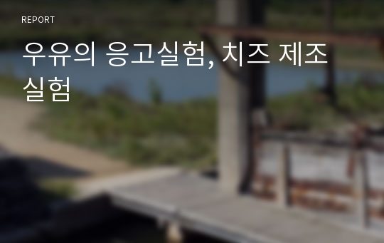 우유의 응고실험, 치즈 제조 실험