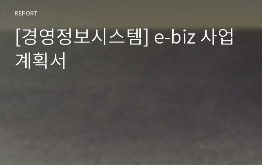 [경영정보시스템] e-biz 사업계획서