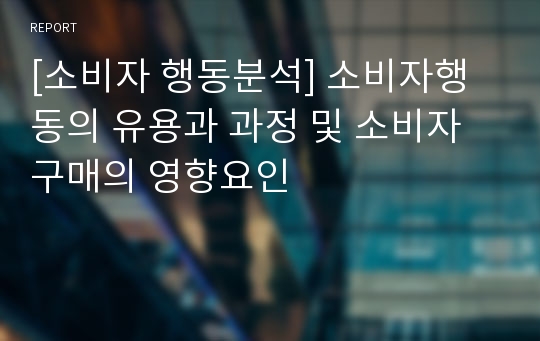 [소비자 행동분석] 소비자행동의 유용과 과정 및 소비자구매의 영향요인