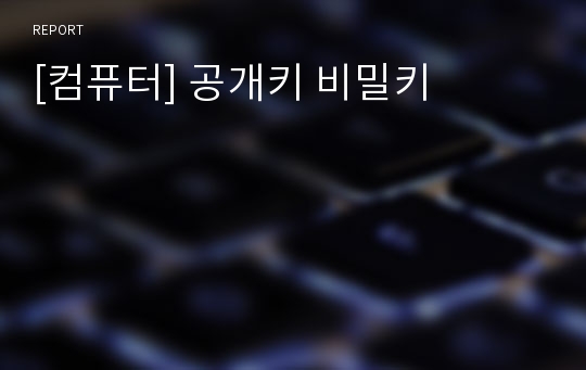 [컴퓨터] 공개키 비밀키