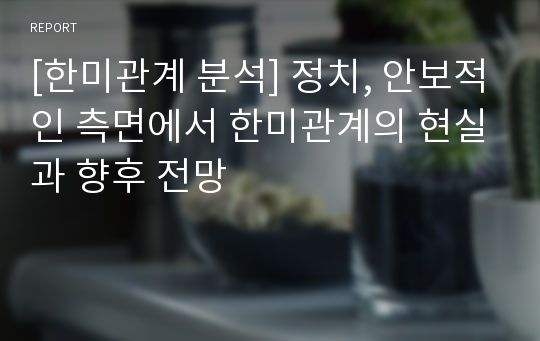 [한미관계 분석] 정치, 안보적인 측면에서 한미관계의 현실과 향후 전망