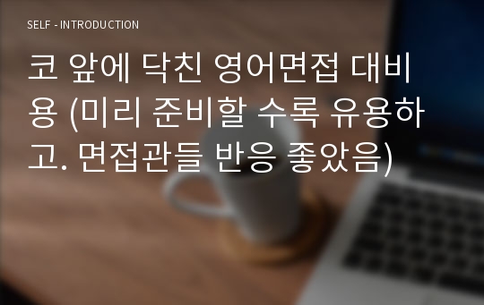 코 앞에 닥친 영어면접 대비용 (미리 준비할 수록 유용하고. 면접관들 반응 좋았음)