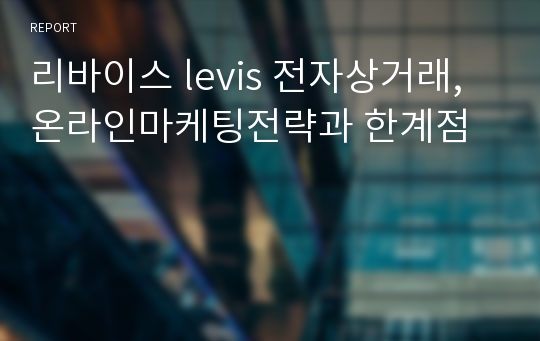 리바이스 levis 전자상거래,온라인마케팅전략과 한계점