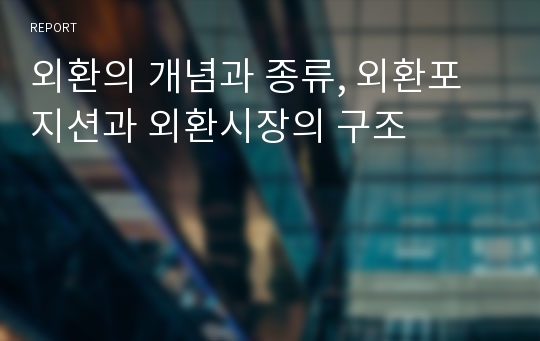 외환의 개념과 종류, 외환포지션과 외환시장의 구조