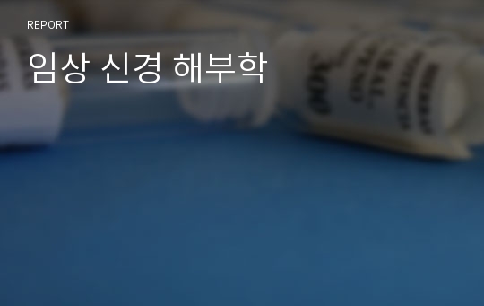 임상 신경 해부학