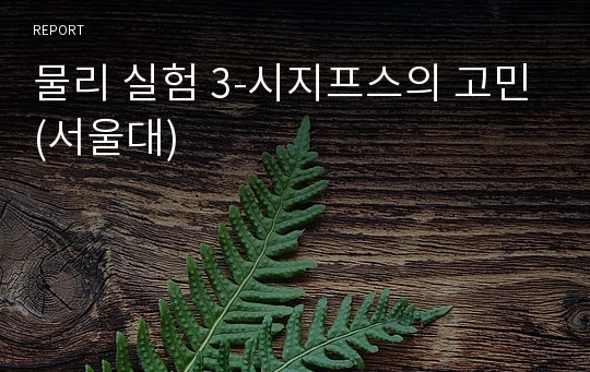 물리 실험 3-시지프스의 고민(서울대)