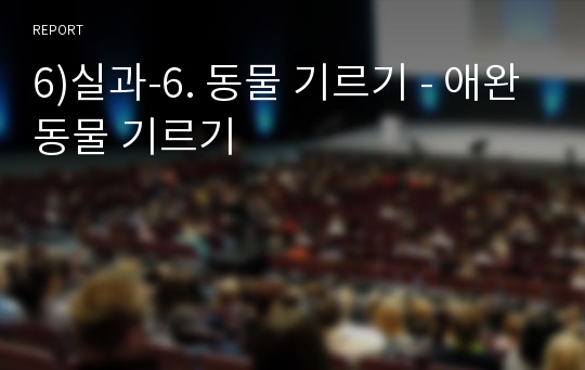 6)실과-6. 동물 기르기 - 애완동물 기르기