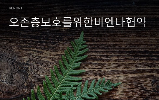 오존층보호를위한비엔나협약