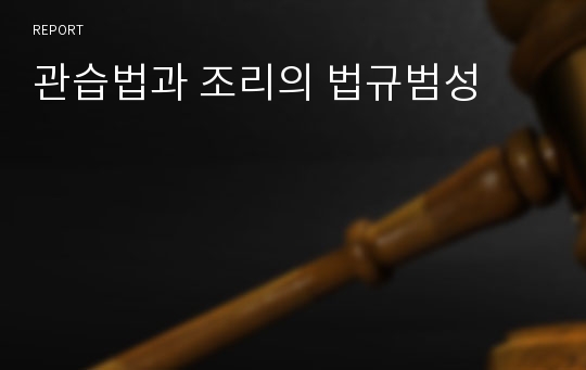 관습법과 조리의 법규범성