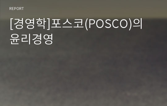 [경영학]포스코(POSCO)의 윤리경영