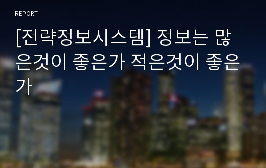 [전략정보시스템] 정보는 많은것이 좋은가 적은것이 좋은가