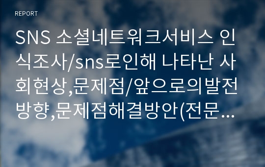 SNS 소셜네트워크서비스 인식조사/sns로인해 나타난 사회현상,문제점/앞으로의발전방향,문제점해결방안(전문가인터뷰포함)