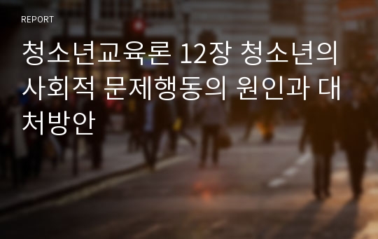 청소년교육론 12장 청소년의 사회적 문제행동의 원인과 대처방안