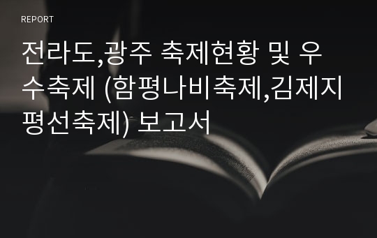 전라도,광주 축제현황 및 우수축제 (함평나비축제,김제지평선축제) 보고서