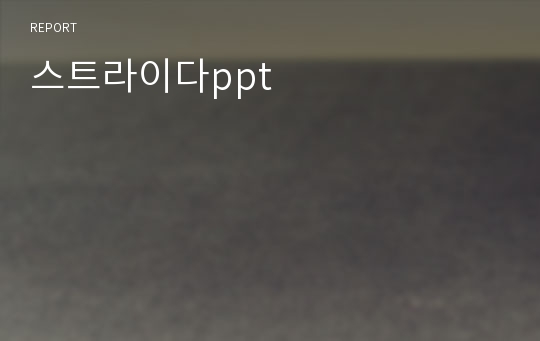 스트라이다ppt