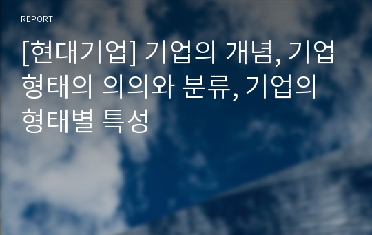 [현대기업] 기업의 개념, 기업형태의 의의와 분류, 기업의 형태별 특성