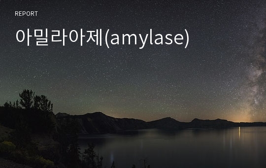 아밀라아제(amylase)