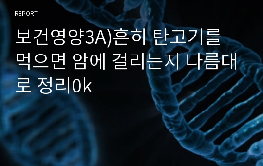 보건영양3A)흔히 탄고기를 먹으면 암에 걸리는지 나름대로 정리0k