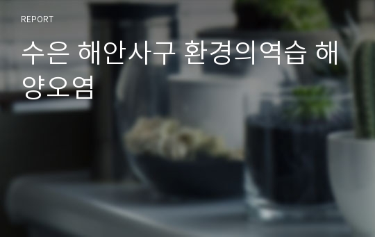 수은 해안사구 환경의역습 해양오염