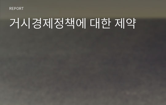 거시경제정책에 대한 제약