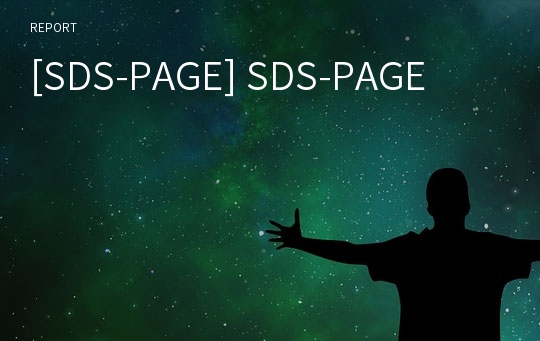 [SDS-PAGE] SDS-PAGE