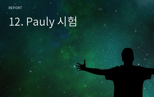 12. Pauly 시험