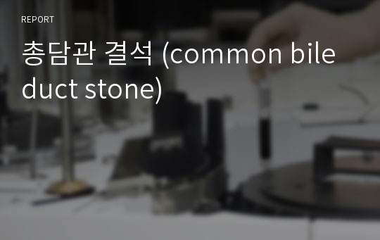 총담관 결석 (common bile duct stone)