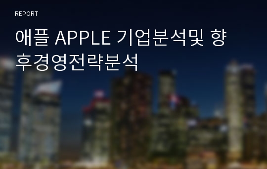 애플 APPLE 기업분석및 향후경영전략분석