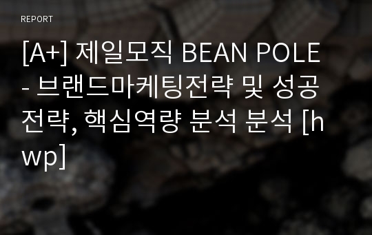 [A+] 제일모직 BEAN POLE - 브랜드마케팅전략 및 성공전략, 핵심역량 분석 분석 [hwp]