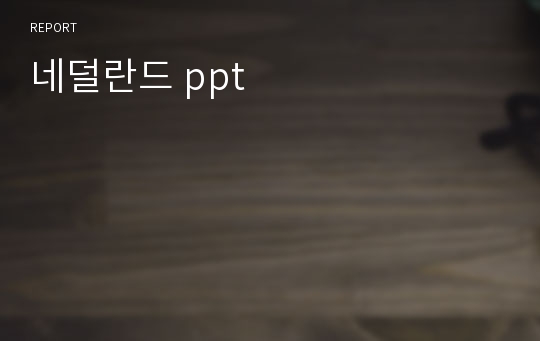 네덜란드 ppt