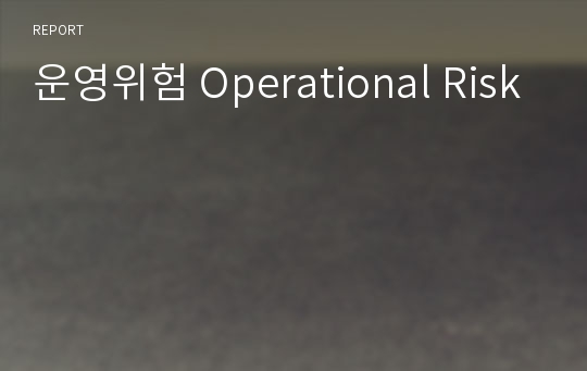 운영위험 Operational Risk