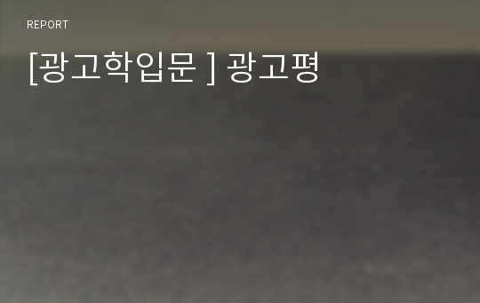 [광고학입문 ] 광고평