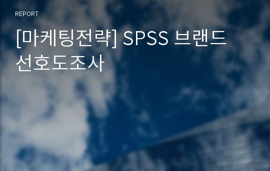 [마케팅전략] SPSS 브랜드 선호도조사