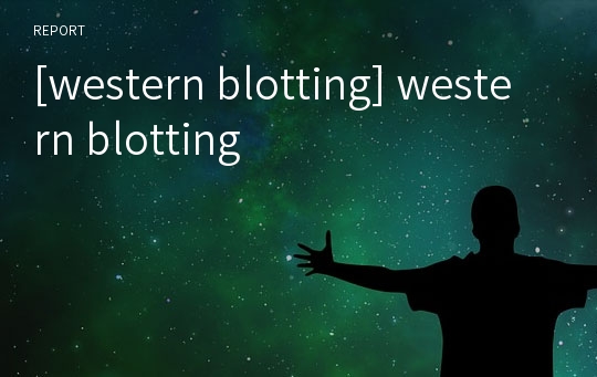 [western blotting] western blotting