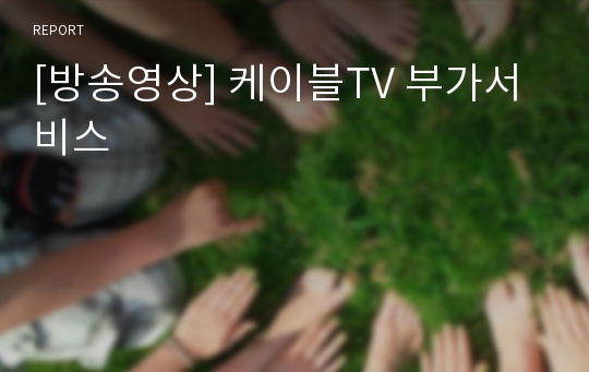 [방송영상] 케이블TV 부가서비스