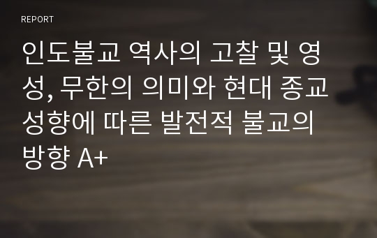 인도불교 역사의 고찰 및 영성, 무한의 의미와 현대 종교성향에 따른 발전적 불교의 방향 A+