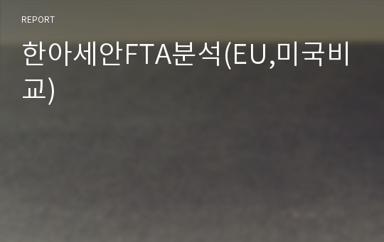 한아세안FTA분석(EU,미국비교)