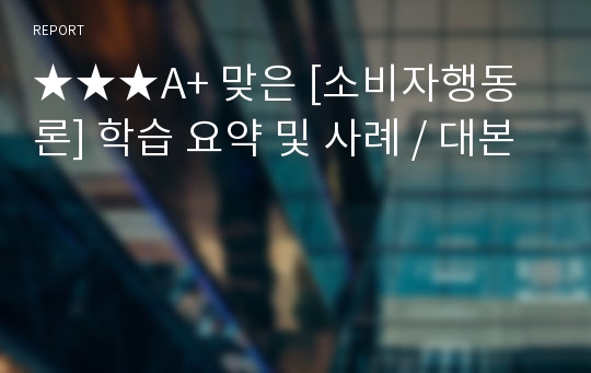 ★★★A+ 맞은 [소비자행동론] 학습 요약 및 사례 / 대본