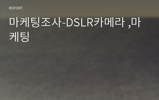 마케팅조사-DSLR카메라 ,마케팅