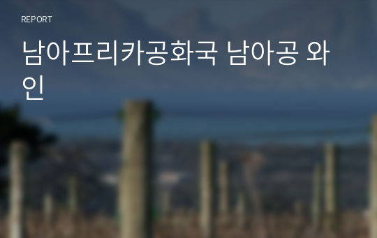 남아프리카공화국 남아공 와인