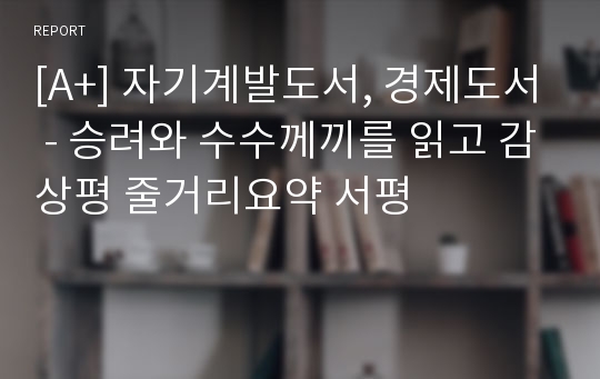 [A+] 자기계발도서, 경제도서 - 승려와 수수께끼를 읽고 감상평 줄거리요약 서평