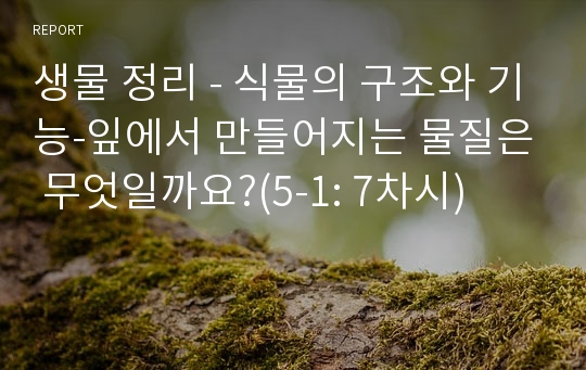 생물 정리 - 식물의 구조와 기능-잎에서 만들어지는 물질은 무엇일까요?(5-1: 7차시)