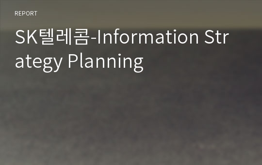 SK텔레콤-Information Strategy Planning