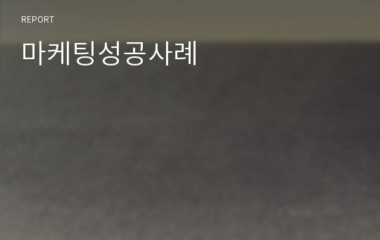 마케팅성공사례