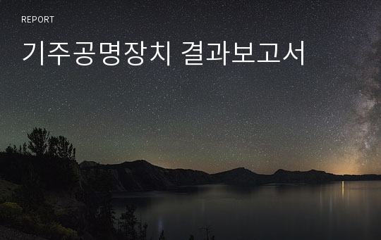 기주공명장치 결과보고서