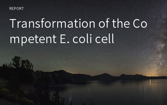 Transformation of the Competent E. coli cell